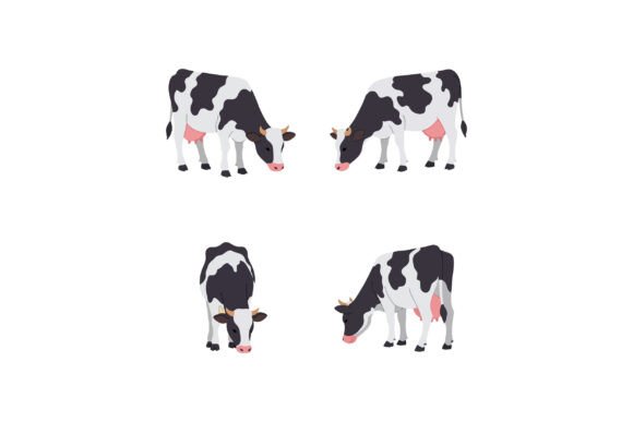 Cow Vector Illustrations Graphics for T-Shirt Print