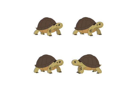 Turtle Vector Graphics & Illustrations for T-Shirt